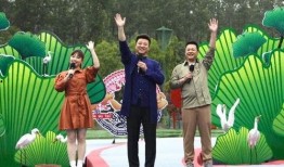 平遥一姐被爆料视频最新,揭秘背后真相与网络舆论的漩涡