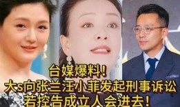 台媒爆料张兰董辉视频,引发舆论热议